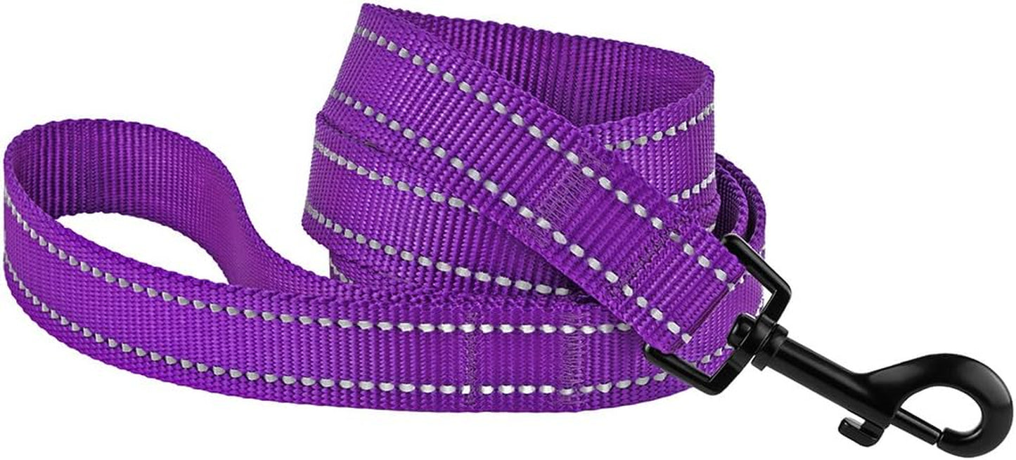 Dog Leash Durable Pet Leash for Walking Training Running for Small, Medium and Large (Reflective, Purple, L)