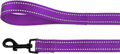 Dog Leash Durable Pet Leash for Walking Training Running for Small, Medium and Large (Reflective, Purple, L)