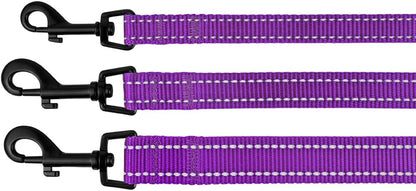 Dog Leash Durable Pet Leash for Walking Training Running for Small, Medium and Large (Reflective, Purple, L)
