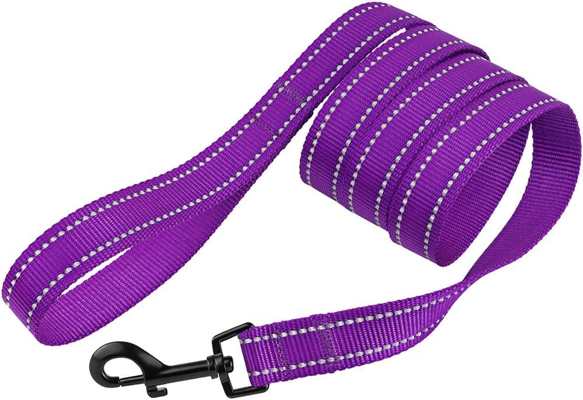 Dog Leash Durable Pet Leash for Walking Training Running for Small, Medium and Large (Reflective, Purple, L)