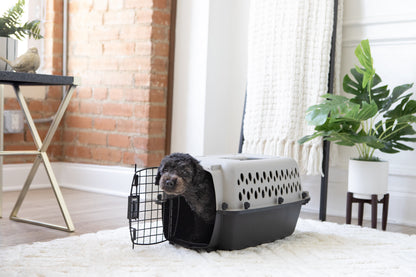 Extra Small Plastic Hard-Sided Pet Carrier, Black and Gray, 10 Lb Limit