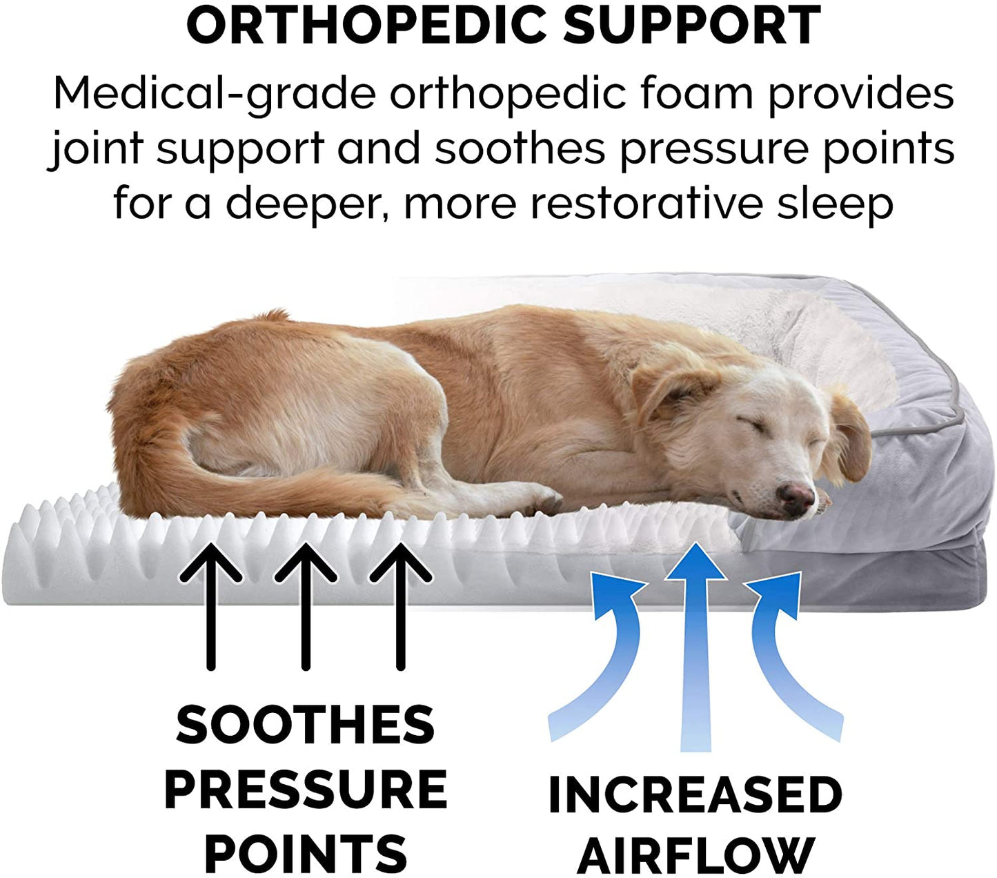 Orthopedic Dog Bed for Medium/Small Dogs W/ Removable Bolsters & Washable Cover, for Dogs up to 35 Lbs - Plush & Velvet Waves Perfect Comfort Sofa - Granite Gray, Medium